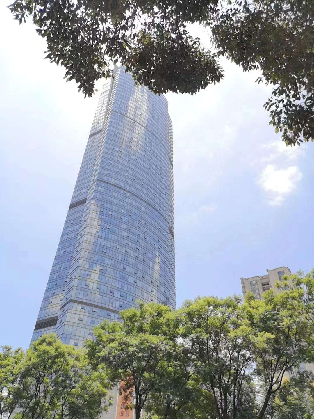 实拍图