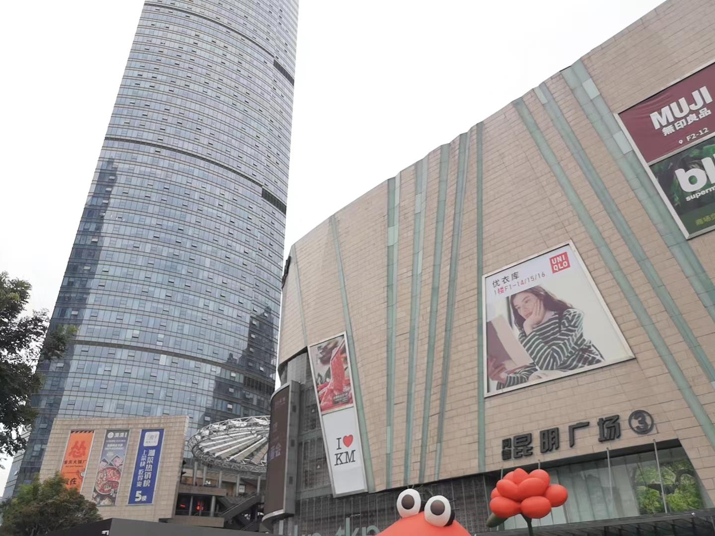实拍图