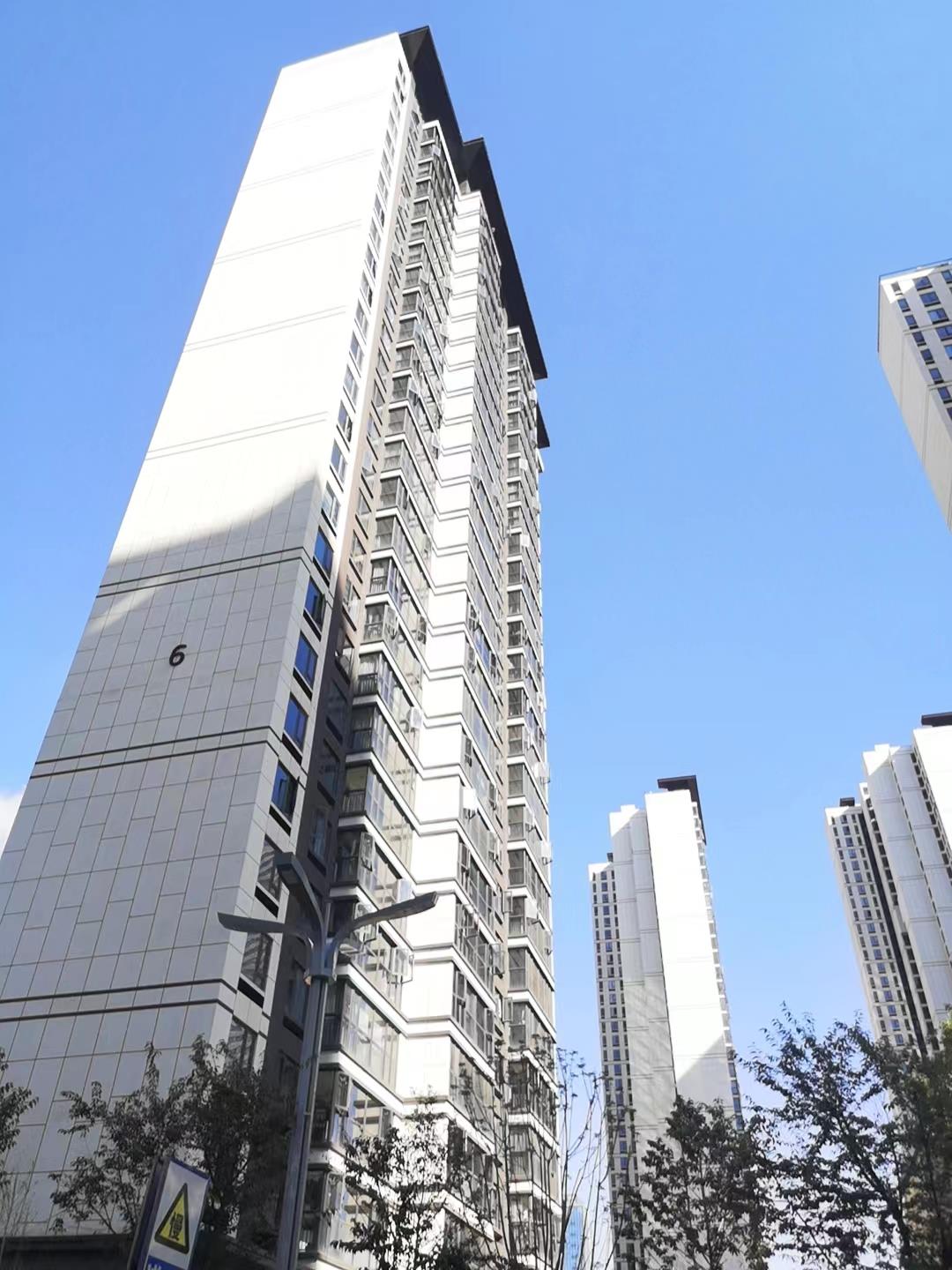 实拍图