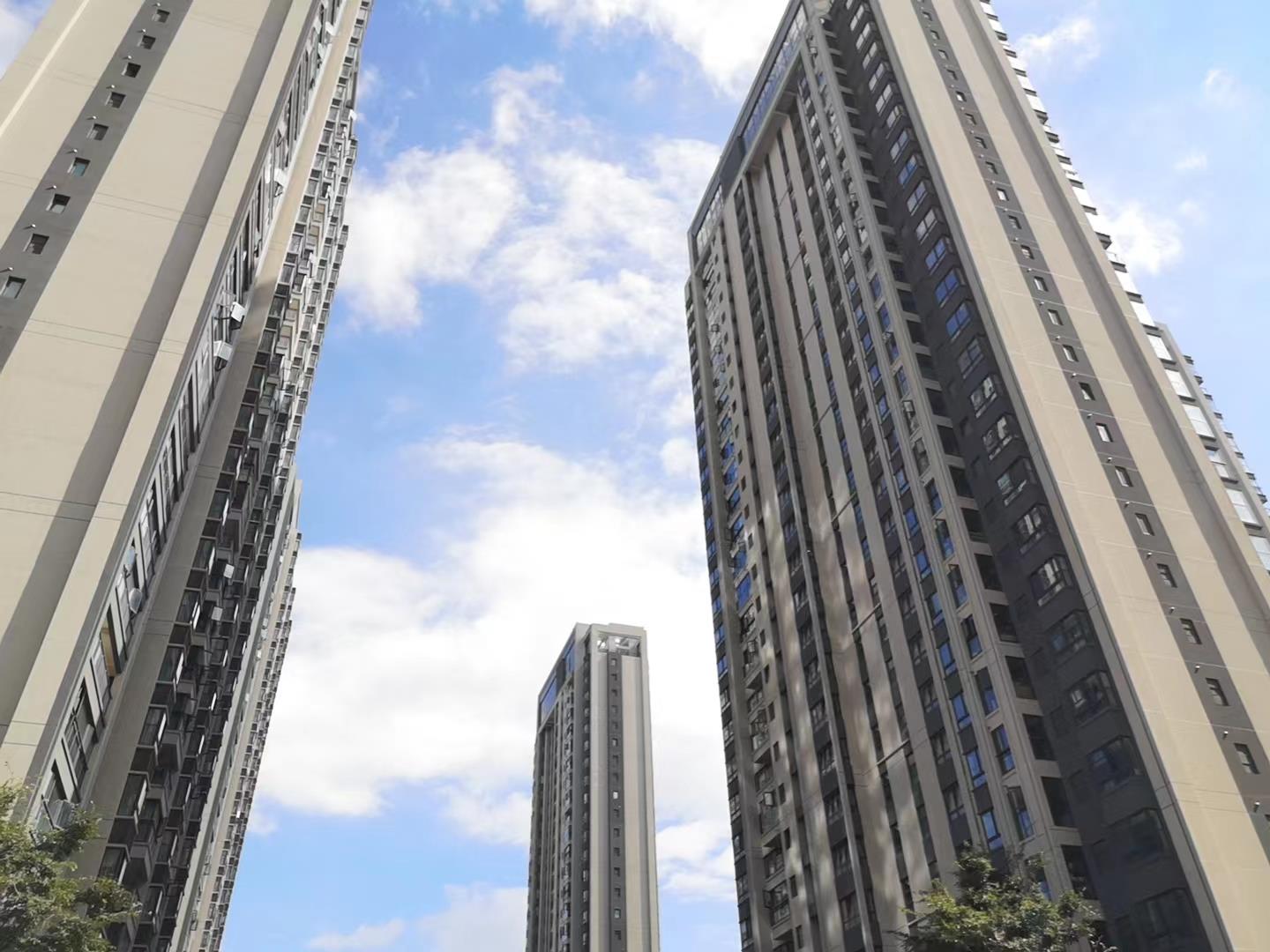 实拍图