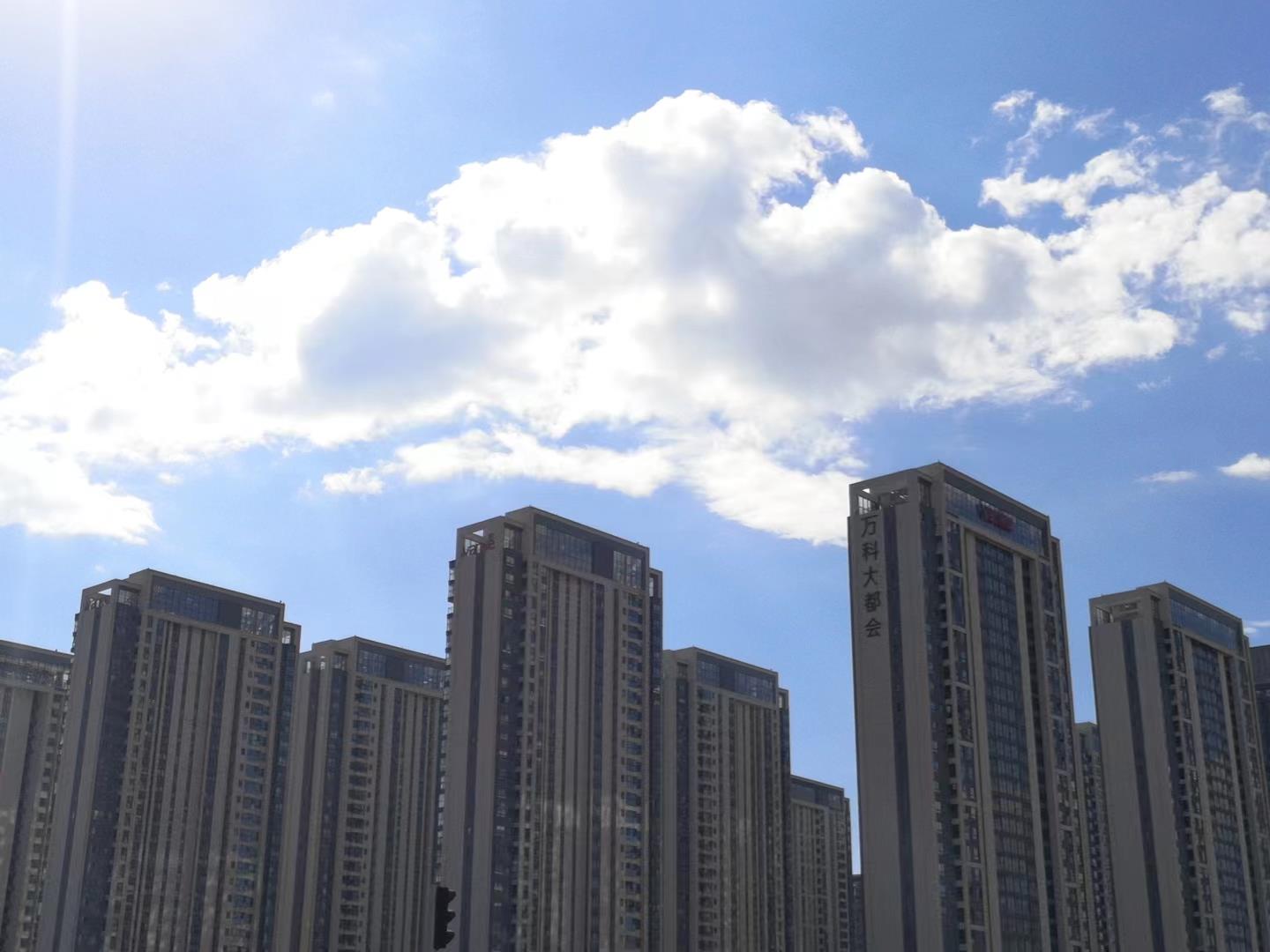 实拍图