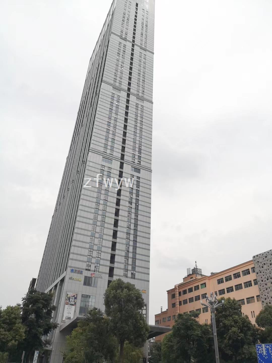 实拍图