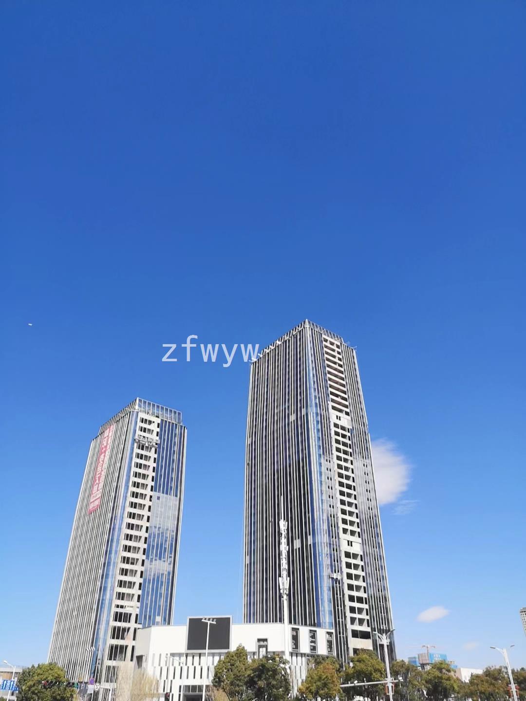 实拍图