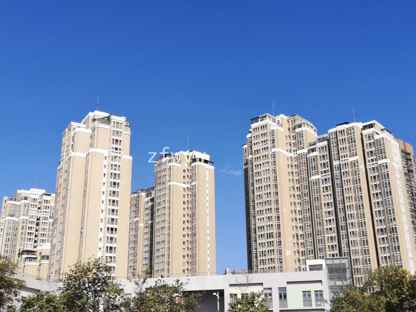 实拍图