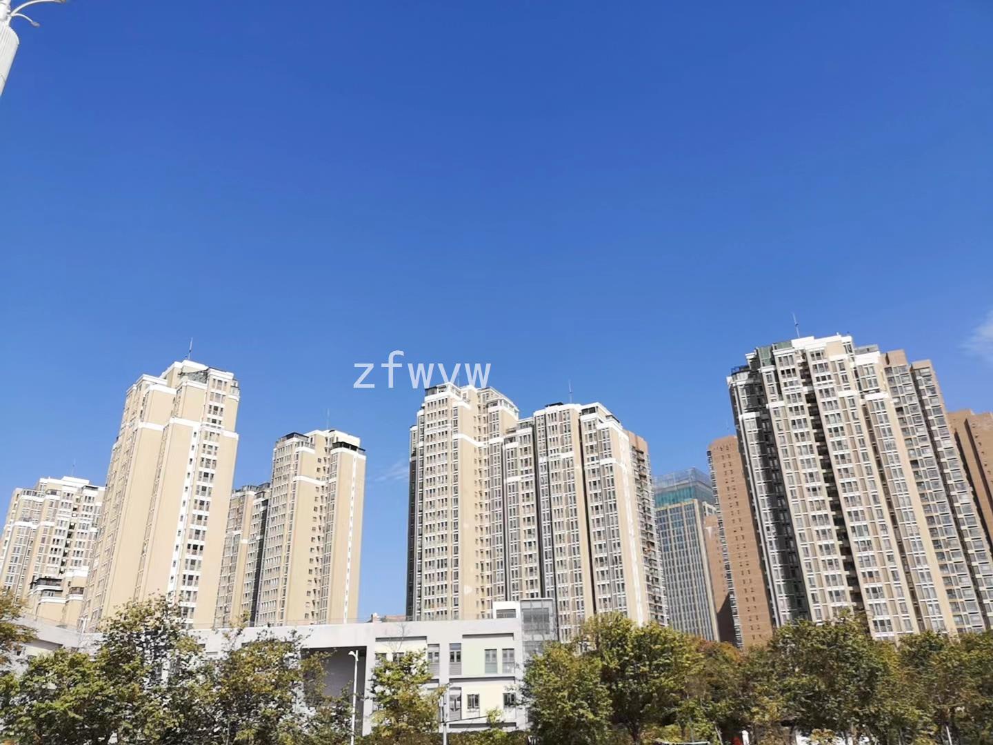 实拍图