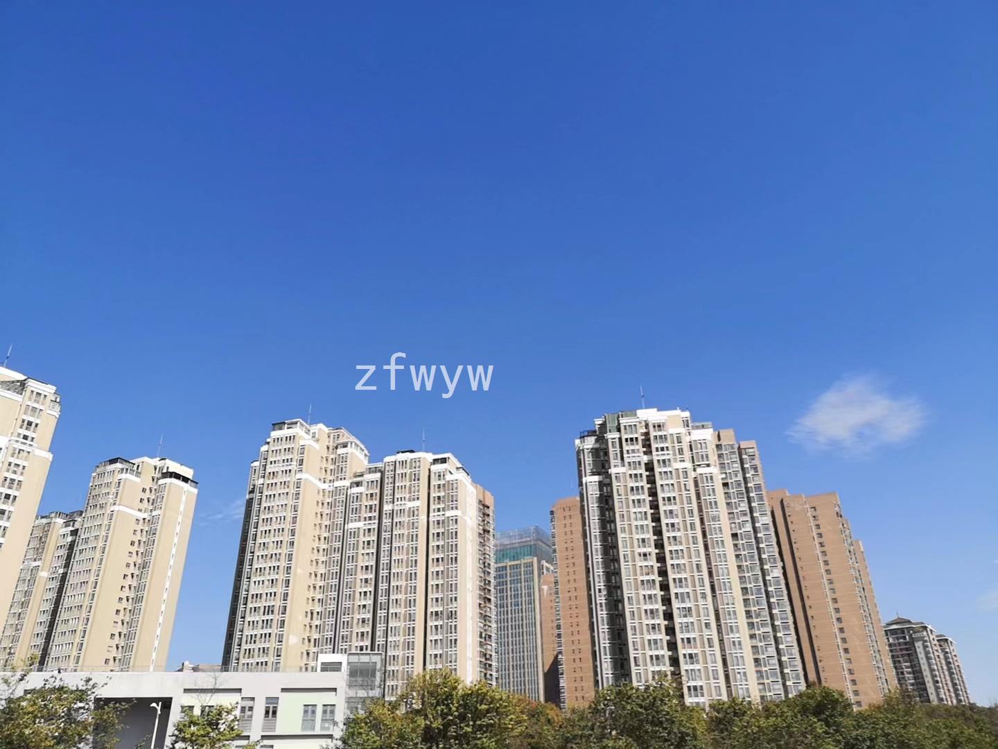 实拍图