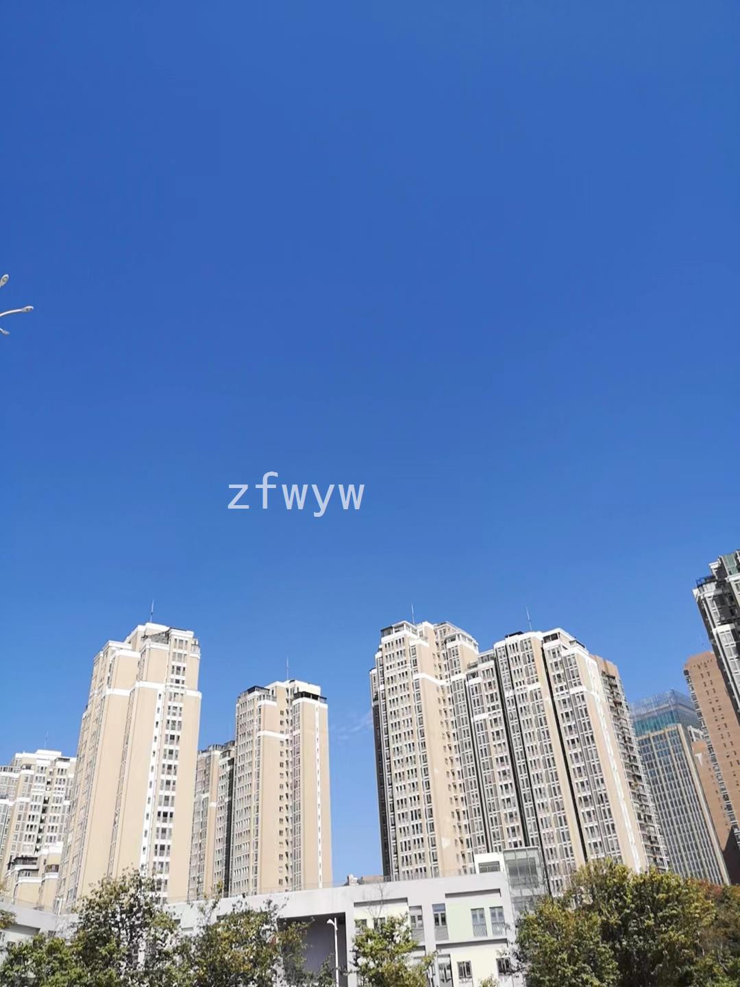 实拍图