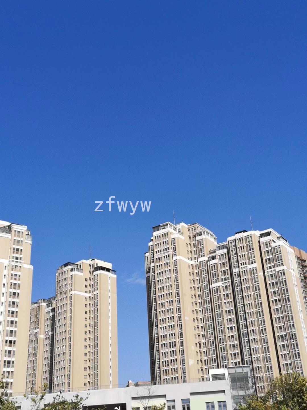 实拍图
