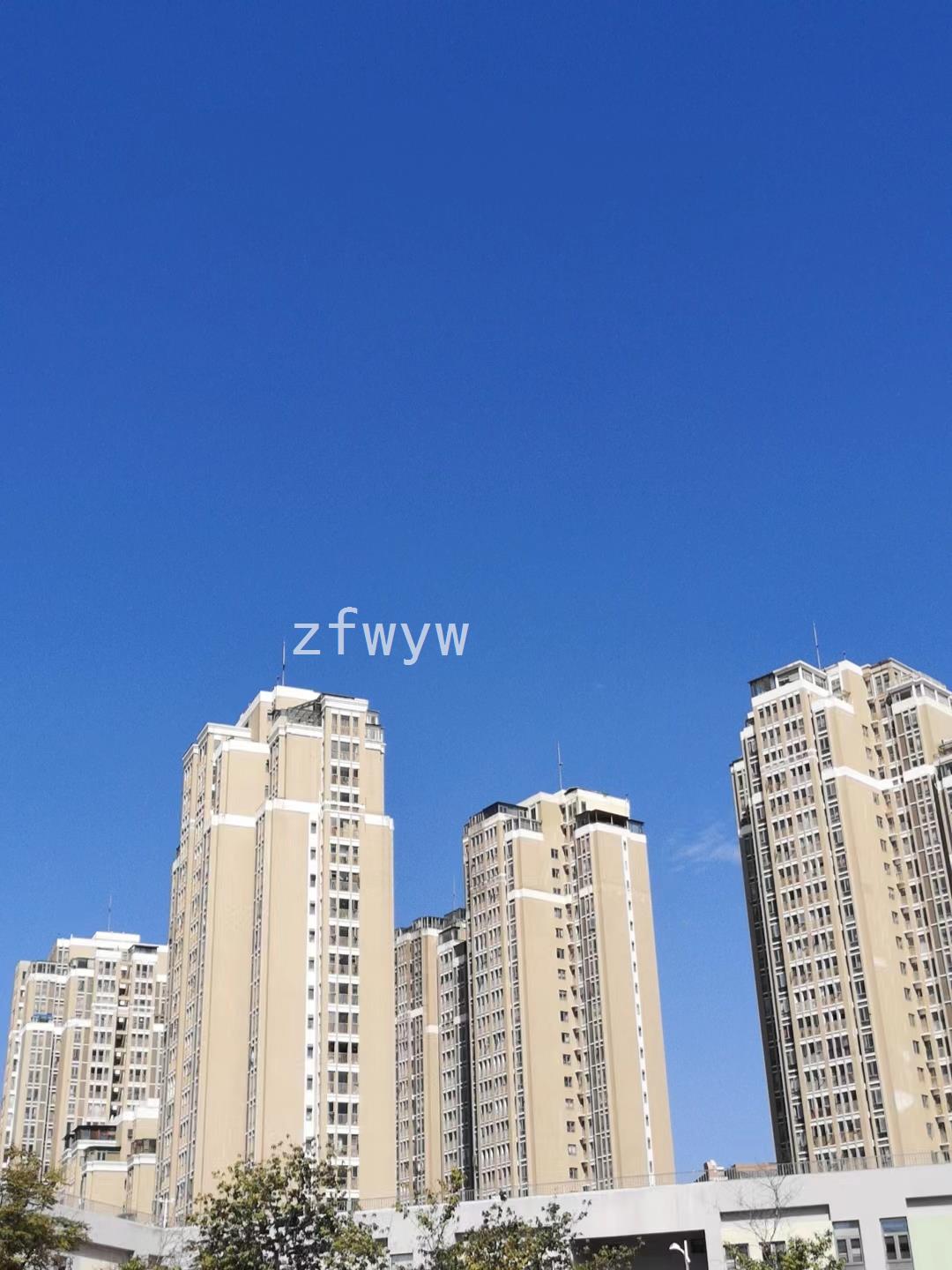 实拍图