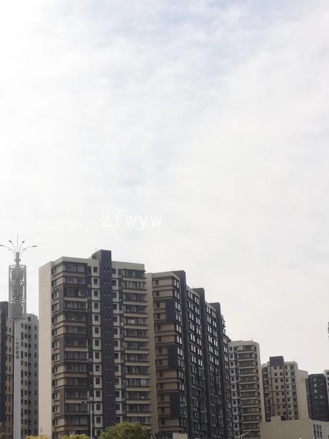 实拍图