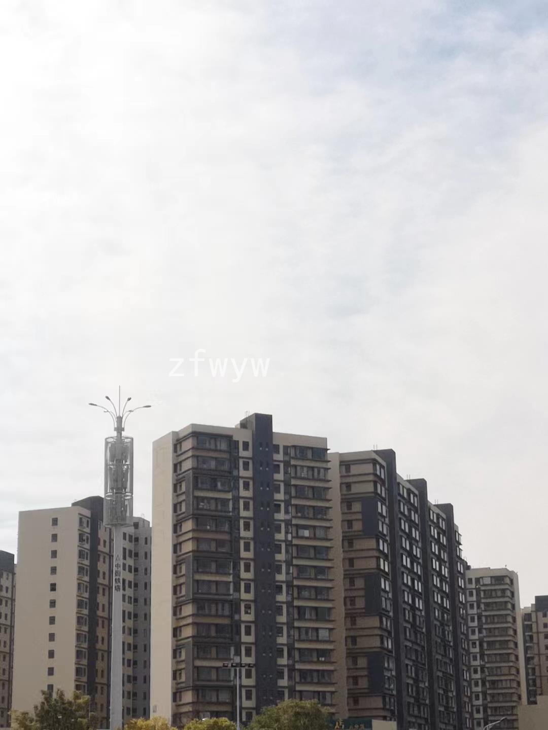 实拍图