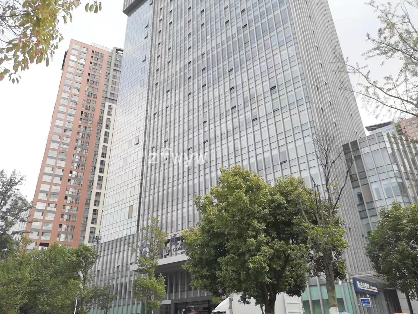 实拍图