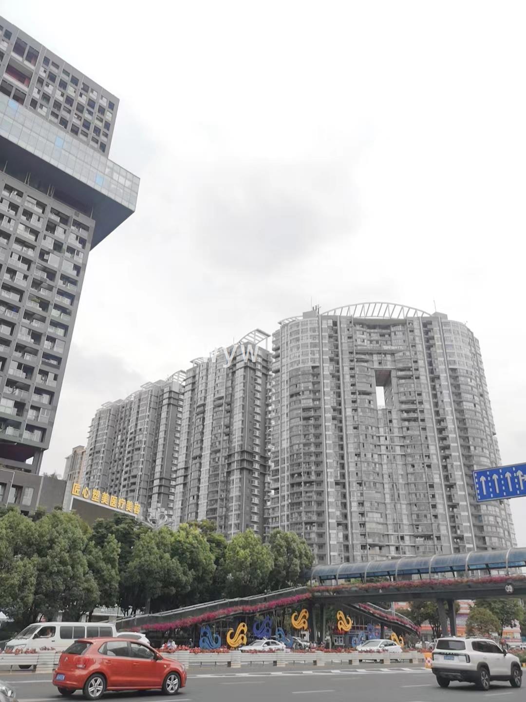 实拍图