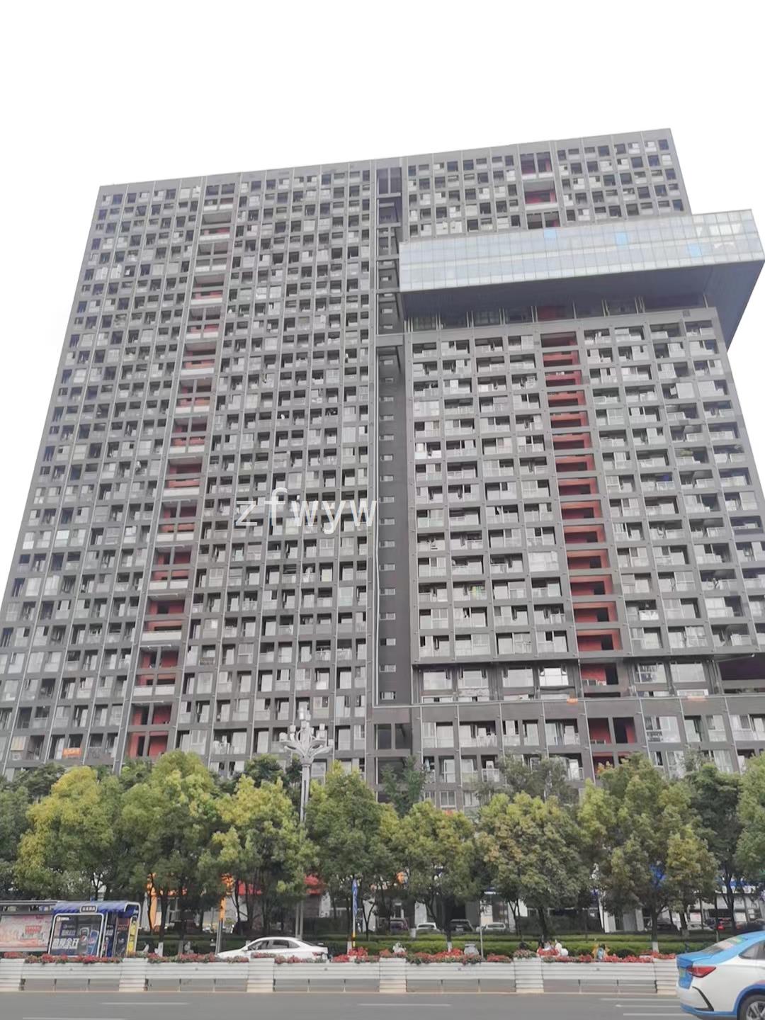 实拍图