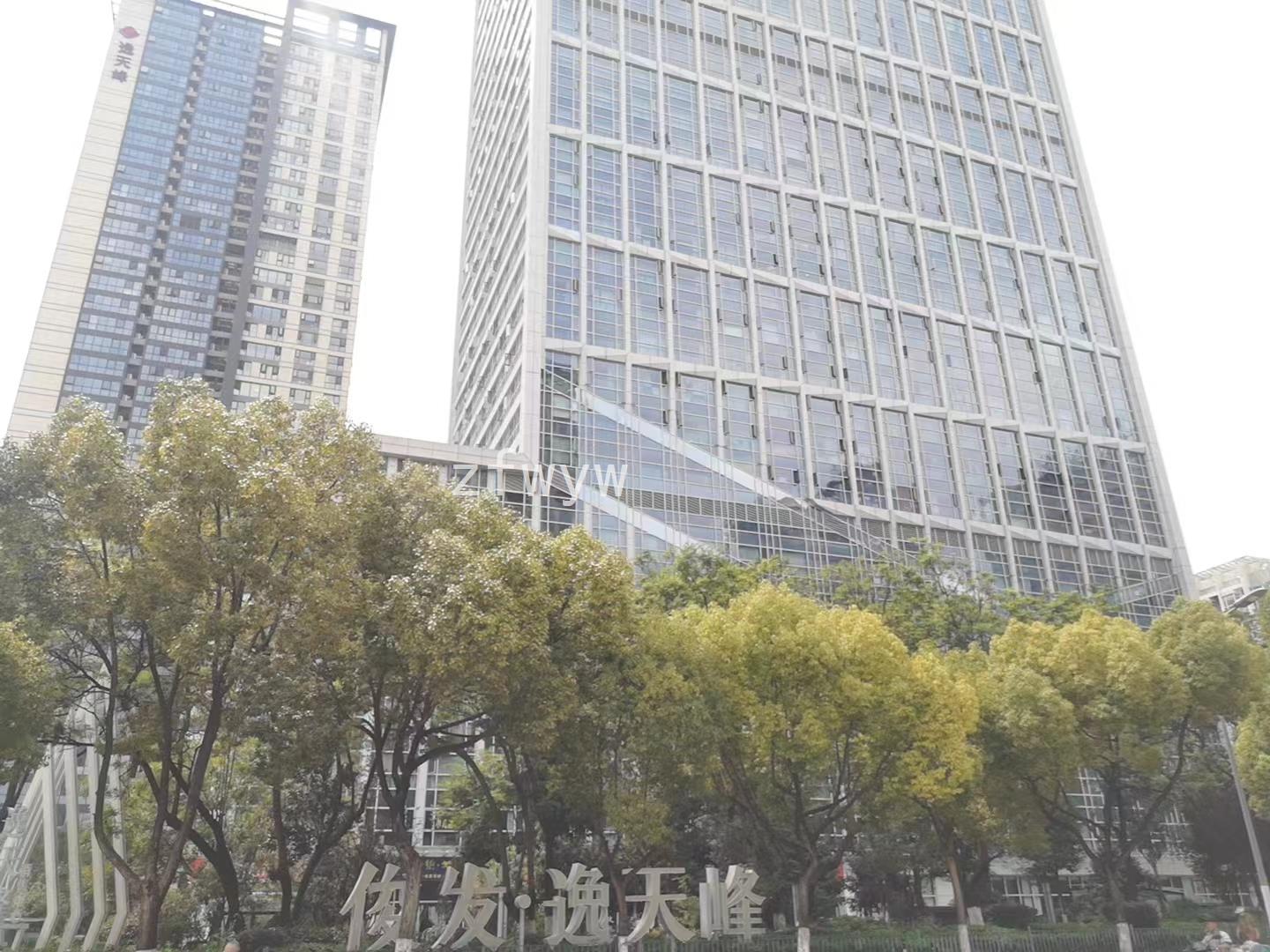 实拍图
