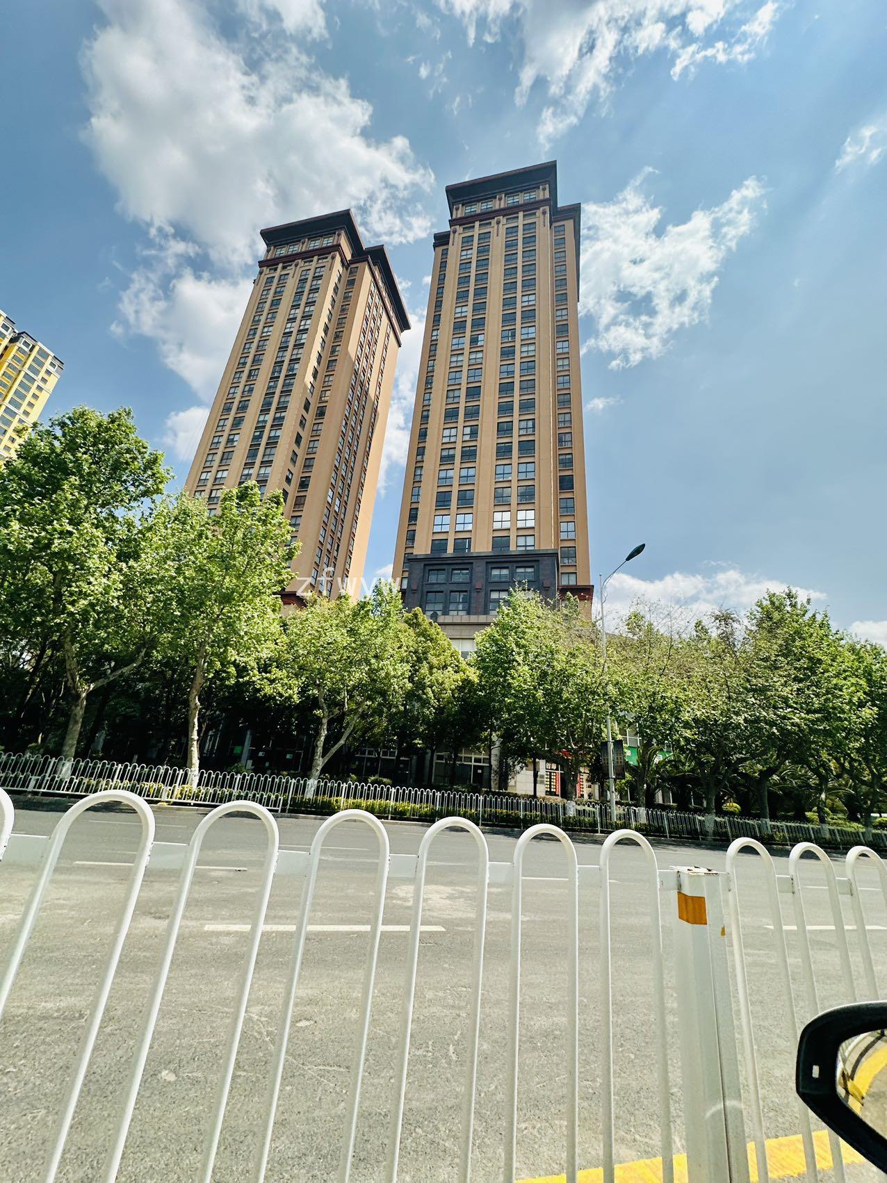 实拍图