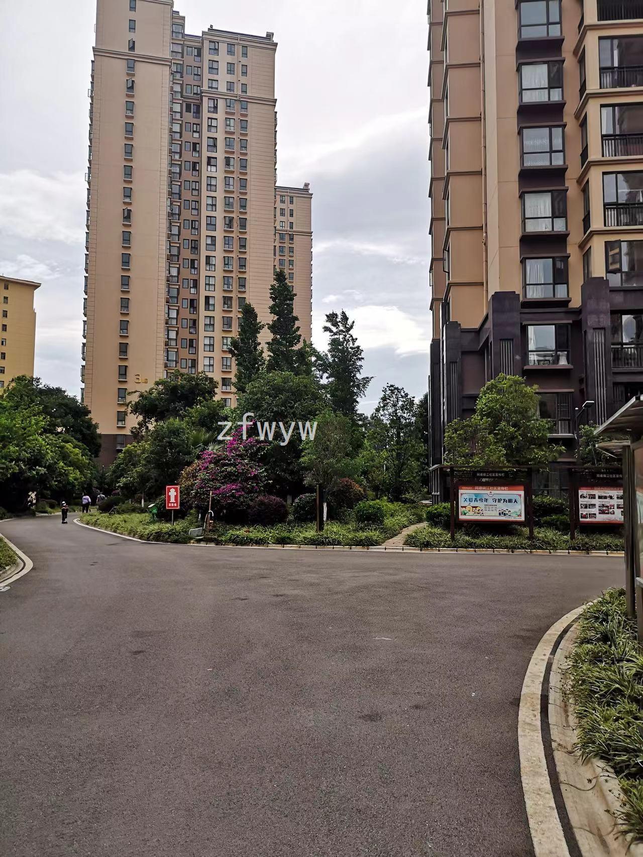 实拍图