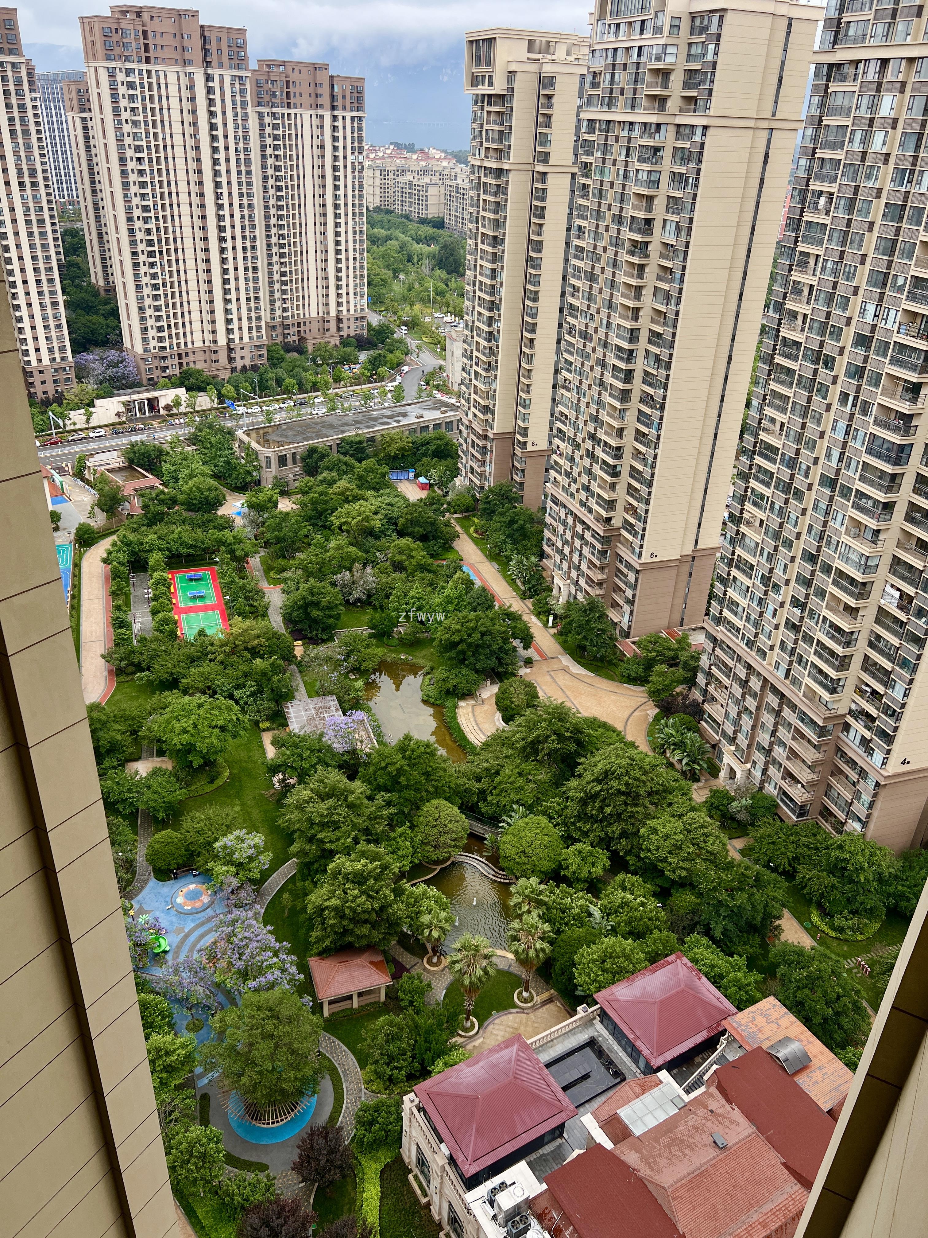 实拍图