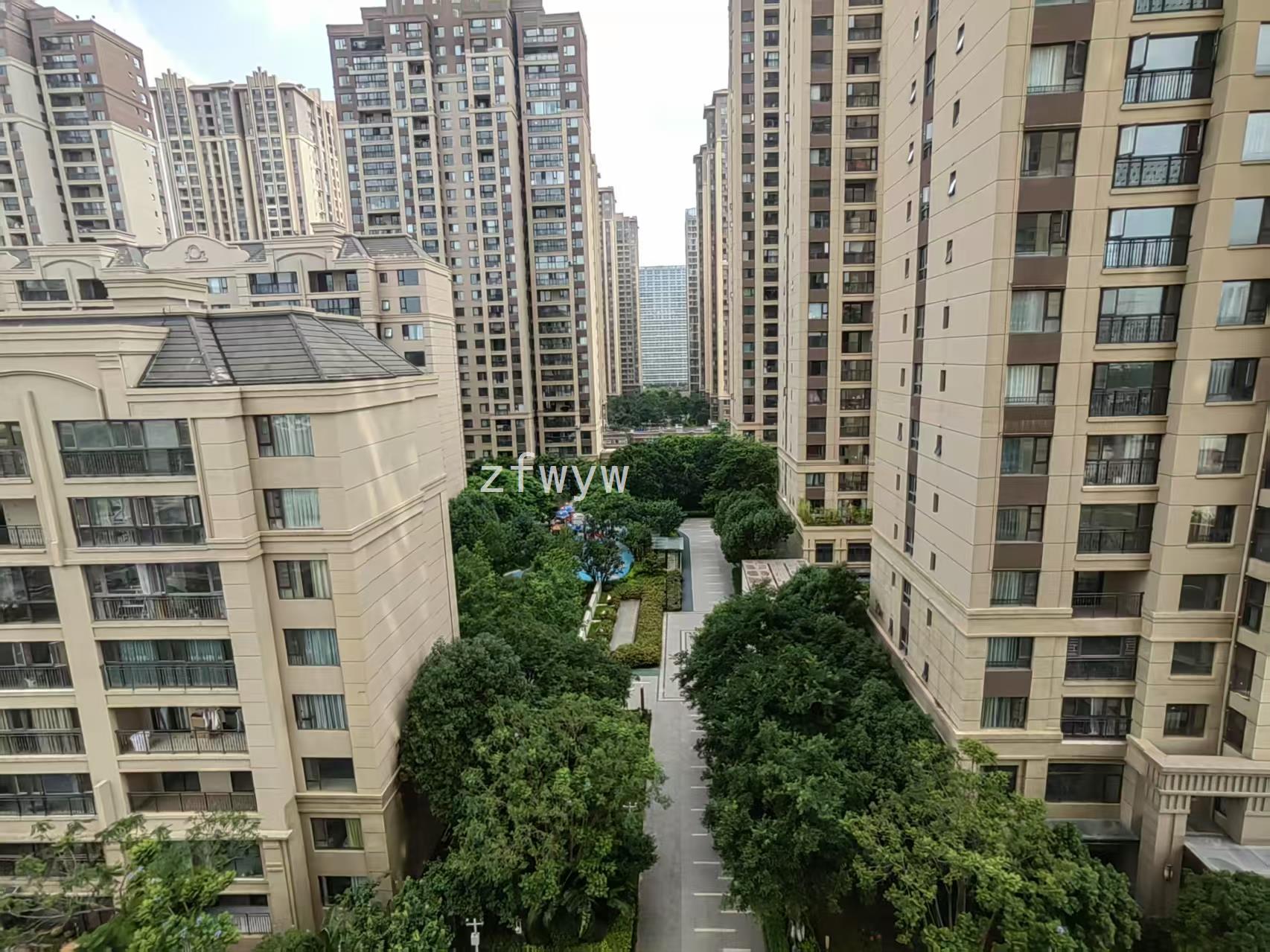 实拍图